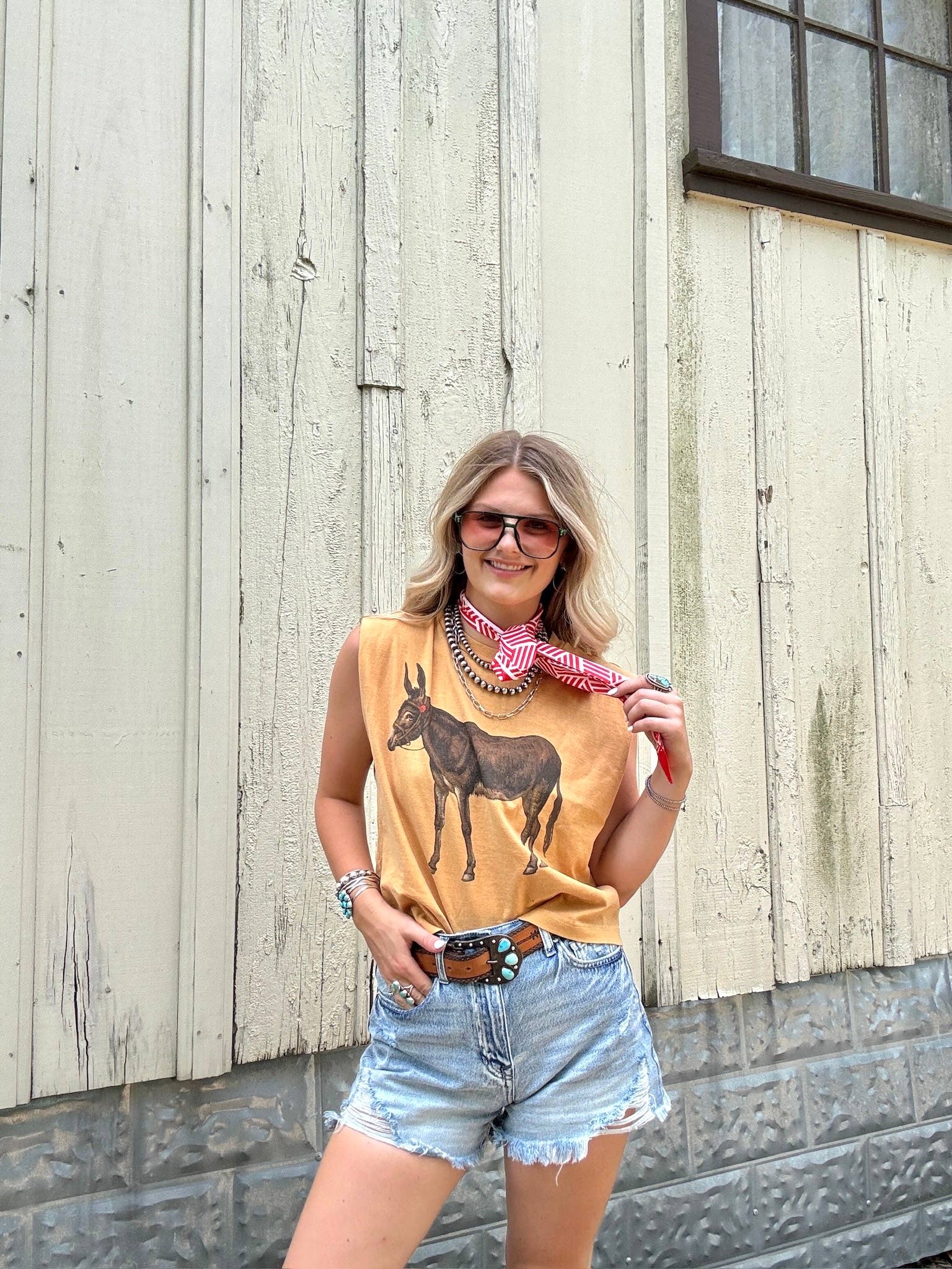 Vintage Donkey Boxy Tank